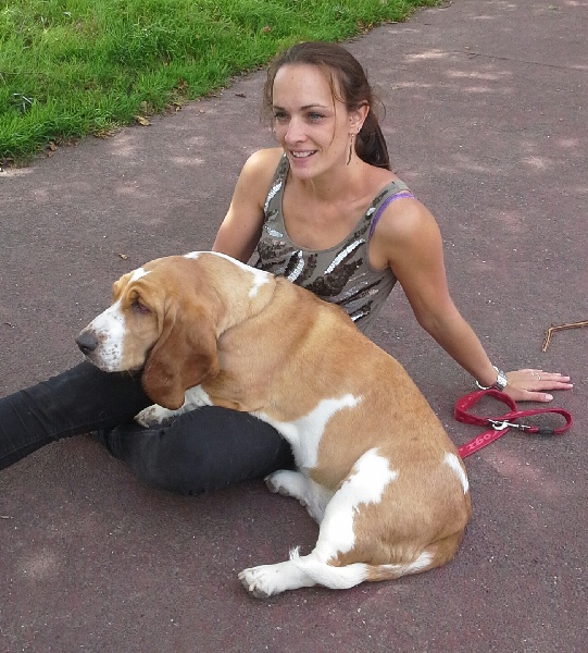 que sont devenus les chiots